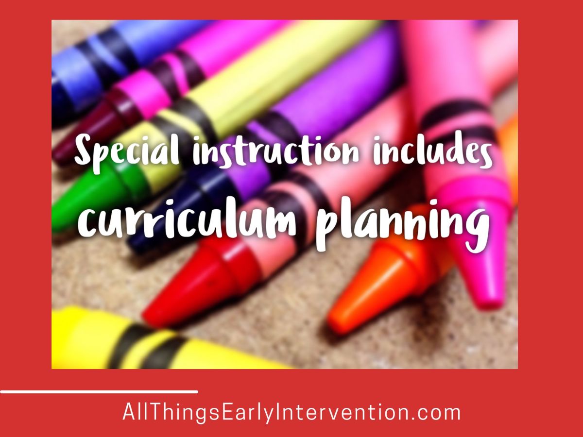 special instruction includes curriculum planning
