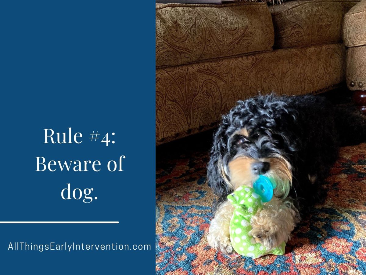 Rule #4: Beware of Dog.